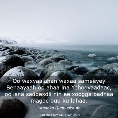 Picture 03 - Taariikhdii Kowaad 11:24 SOM - Oo waxyaalahan waxaa sameeyey Benaayaah oo ahaa - Bible Verse Picture