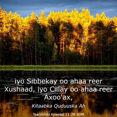 Picture 03 - Taariikhdii Kowaad 11:29 SOM - iyo Sibbekay oo ahaa reer Xushaad, iyo Ciilay oo - Bible Verse Picture