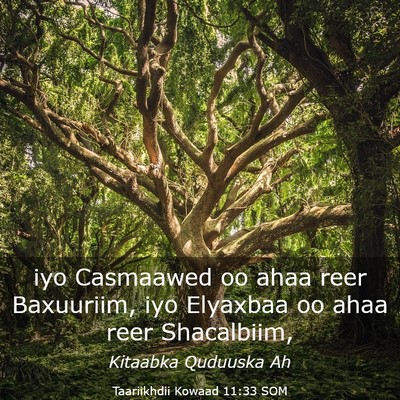 Picture 03 - Taariikhdii Kowaad 11:33 SOM - iyo Casmaawed oo ahaa reer Baxuuriim, iyo - Bible Verse Picture