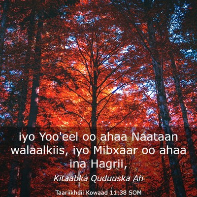 Picture 03 - Taariikhdii Kowaad 11:38 SOM - iyo Yoo'eel oo ahaa Naataan walaalkiis, iyo - Bible Verse Picture