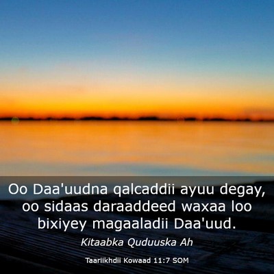 Picture 03 - Taariikhdii Kowaad 11:7 SOM - Oo Daa'uudna qalcaddii ayuu degay, oo sidaas - Bible Verse Picture