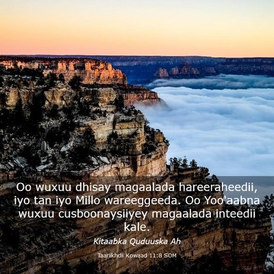 Picture 03 - Taariikhdii Kowaad 11:8 SOM - Oo wuxuu dhisay magaalada hareeraheedii, iyo tan - Bible Verse Picture