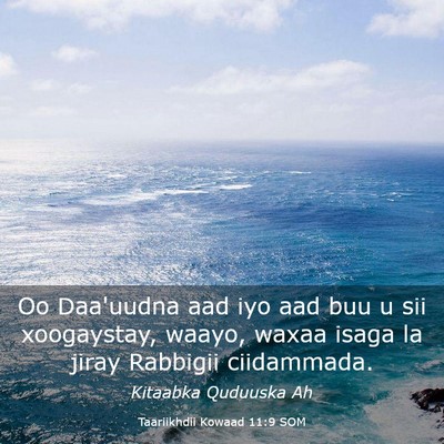 Picture 03 - Taariikhdii Kowaad 11:9 SOM - Oo Daa'uudna aad iyo aad buu u sii xoogaystay, - Bible Verse Picture