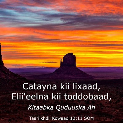 Picture 03 - Taariikhdii Kowaad 12:11 SOM - Catayna kii lixaad, Elii'eelna kii - Bible Verse Picture