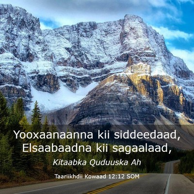 Picture 03 - Taariikhdii Kowaad 12:12 SOM - Yooxaanaanna kii siddeedaad, Elsaabaadna kii - Bible Verse Picture