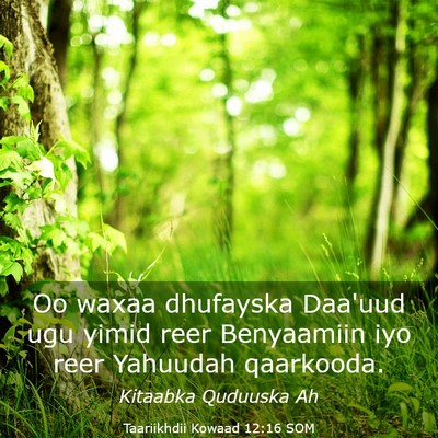Picture 03 - Taariikhdii Kowaad 12:16 SOM - Oo waxaa dhufayska Daa'uud ugu yimid reer - Bible Verse Picture
