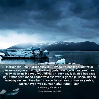 Picture 03 - Taariikhdii Kowaad 12:17 SOM - Markaasaa Daa'uud u baxay inuu iyaga ka hor tago, - Bible Verse Picture