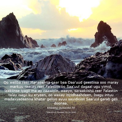 Picture 03 - Taariikhdii Kowaad 12:19 SOM - Oo weliba reer Manasehna qaar baa Daa'uud - Bible Verse Picture
