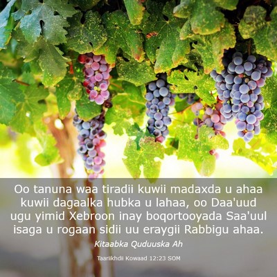 Picture 03 - Taariikhdii Kowaad 12:23 SOM - Oo tanuna waa tiradii kuwii madaxda u ahaa kuwii - Bible Verse Picture