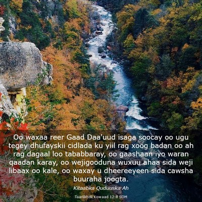Picture 03 - Taariikhdii Kowaad 12:8 SOM - Oo waxaa reer Gaad Daa'uud isaga soocay oo ugu - Bible Verse Picture