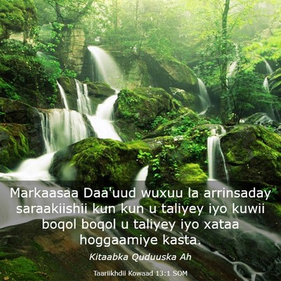 Picture 03 - Taariikhdii Kowaad 13:1 SOM - Markaasaa Daa'uud wuxuu la arrinsaday - Bible Verse Picture