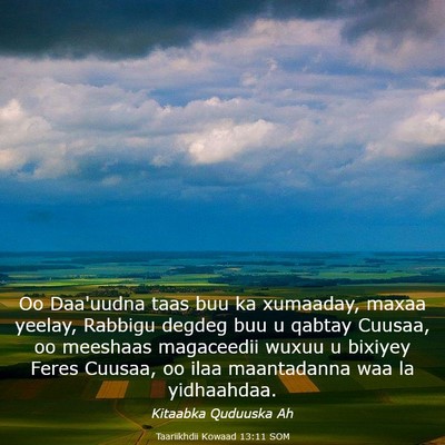 Picture 03 - Taariikhdii Kowaad 13:11 SOM - Oo Daa'uudna taas buu ka xumaaday, maxaa yeelay, - Bible Verse Picture