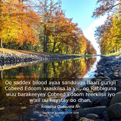 Picture 03 - Taariikhdii Kowaad 13:14 SOM - Oo saddex bilood ayaa sanduuqii Ilaah gurigii - Bible Verse Picture