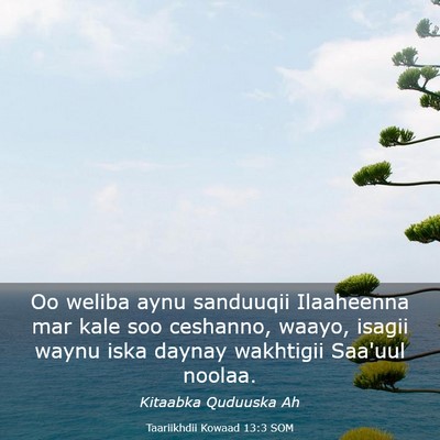Picture 03 - Taariikhdii Kowaad 13:3 SOM - Oo weliba aynu sanduuqii Ilaaheenna mar kale soo - Bible Verse Picture
