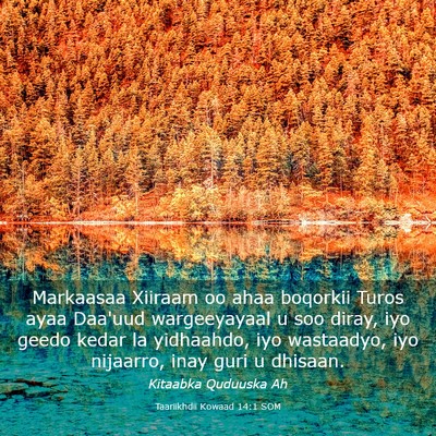 Picture 03 - Taariikhdii Kowaad 14:1 SOM - Markaasaa Xiiraam oo ahaa boqorkii Turos ayaa - Bible Verse Picture