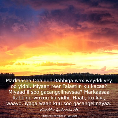 Picture 03 - Taariikhdii Kowaad 14:10 SOM - Markaasaa Daa'uud Rabbiga wax weyddiiyey oo - Bible Verse Picture