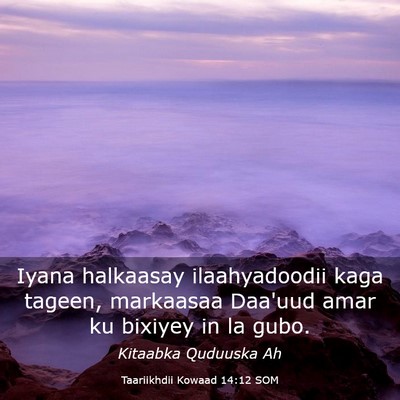 Picture 03 - Taariikhdii Kowaad 14:12 SOM - Iyana halkaasay ilaahyadoodii kaga tageen, - Bible Verse Picture
