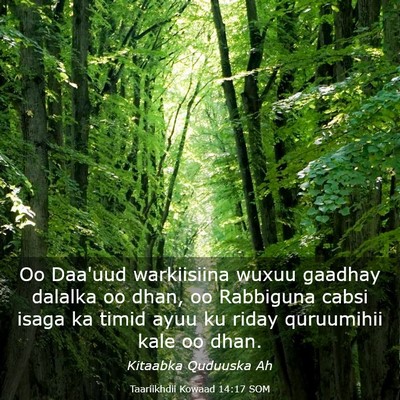 Picture 03 - Taariikhdii Kowaad 14:17 SOM - Oo Daa'uud warkiisiina wuxuu gaadhay dalalka oo - Bible Verse Picture