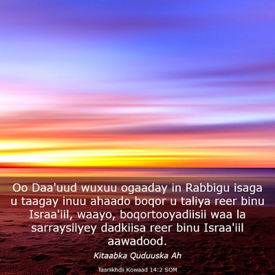 Picture 03 - Taariikhdii Kowaad 14:2 SOM - Oo Daa'uud wuxuu ogaaday in Rabbigu isaga u - Bible Verse Picture
