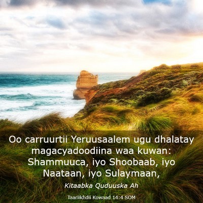 Picture 03 - Taariikhdii Kowaad 14:4 SOM - Oo carruurtii Yeruusaalem ugu dhalatay - Bible Verse Picture