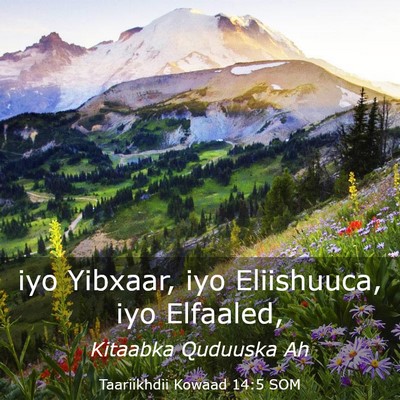 Picture 03 - Taariikhdii Kowaad 14:5 SOM - iyo Yibxaar, iyo Eliishuuca, iyo - Bible Verse Picture