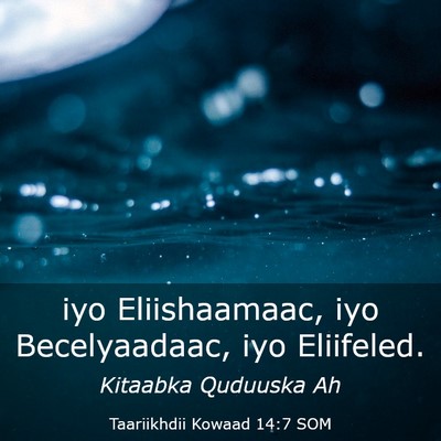 Picture 03 - Taariikhdii Kowaad 14:7 SOM - iyo Eliishaamaac, iyo Becelyaadaac, iyo - Bible Verse Picture