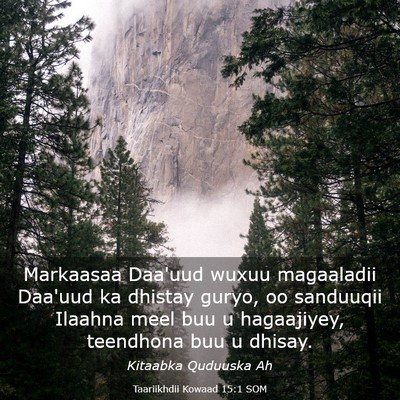 Picture 03 - Taariikhdii Kowaad 15:1 SOM - Markaasaa Daa'uud wuxuu magaaladii Daa'uud ka - Bible Verse Picture