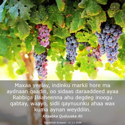 Picture 03 - Taariikhdii Kowaad 15:13 SOM - Maxaa yeelay, indinku markii hore ma aydnaan - Bible Verse Picture