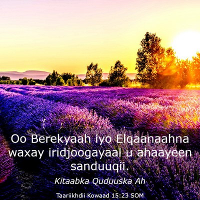 Picture 03 - Taariikhdii Kowaad 15:23 SOM - Oo Berekyaah iyo Elqaanaahna waxay iridjoogayaal - Bible Verse Picture