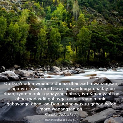 Picture 03 - Taariikhdii Kowaad 15:27 SOM - Oo Daa'uudna wuxuu xidhnaa dhar aad u wanaagsan, - Bible Verse Picture