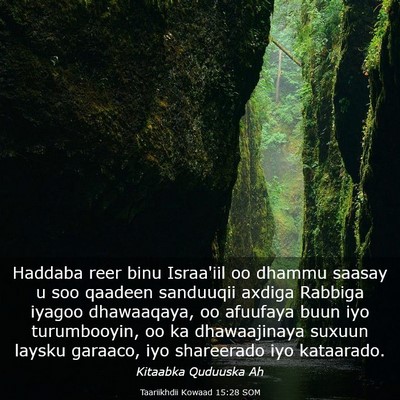Picture 03 - Taariikhdii Kowaad 15:28 SOM - Haddaba reer binu Israa'iil oo dhammu saasay u - Bible Verse Picture