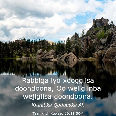 Picture 03 - Taariikhdii Kowaad 16:11 SOM - Rabbiga iyo xooggiisa doondoona, Oo weligiinba - Bible Verse Picture