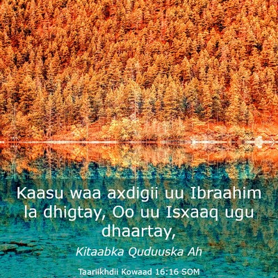 Picture 03 - Taariikhdii Kowaad 16:16 SOM - Kaasu waa axdigii uu Ibraahim la dhigtay, Oo uu - Bible Verse Picture