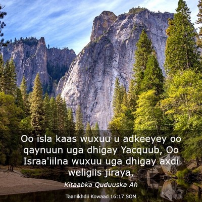 Picture 03 - Taariikhdii Kowaad 16:17 SOM - Oo isla kaas wuxuu u adkeeyey oo qaynuun uga - Bible Verse Picture