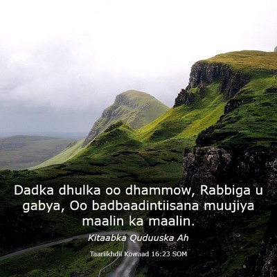 Picture 03 - Taariikhdii Kowaad 16:23 SOM - Dadka dhulka oo dhammow, Rabbiga u gabya, Oo - Bible Verse Picture