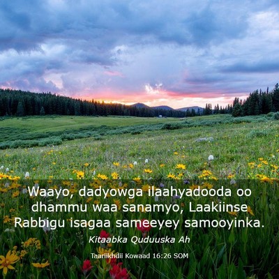 Picture 03 - Taariikhdii Kowaad 16:26 SOM - Waayo, dadyowga ilaahyadooda oo dhammu waa - Bible Verse Picture