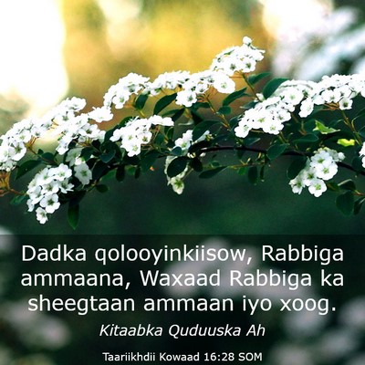 Picture 03 - Taariikhdii Kowaad 16:28 SOM - Dadka qolooyinkiisow, Rabbiga ammaana, Waxaad - Bible Verse Picture