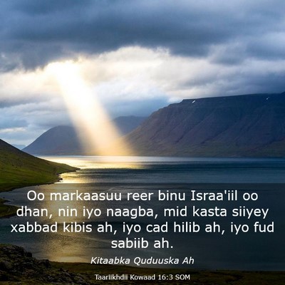 Picture 03 - Taariikhdii Kowaad 16:3 SOM - Oo markaasuu reer binu Israa'iil oo dhan, nin iyo - Bible Verse Picture