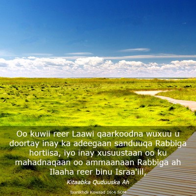 Picture 03 - Taariikhdii Kowaad 16:4 SOM - Oo kuwii reer Laawi qaarkoodna wuxuu u doortay - Bible Verse Picture