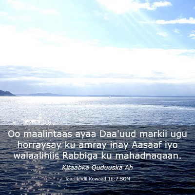 Picture 03 - Taariikhdii Kowaad 16:7 SOM - Oo maalintaas ayaa Daa'uud markii ugu horraysay - Bible Verse Picture
