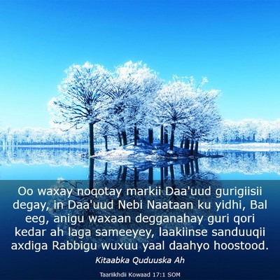 Picture 03 - Taariikhdii Kowaad 17:1 SOM - Oo waxay noqotay markii Daa'uud gurigiisii degay, - Bible Verse Picture
