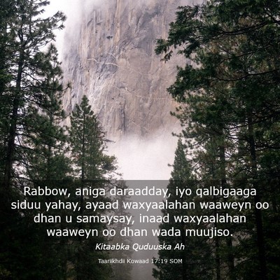 Picture 03 - Taariikhdii Kowaad 17:19 SOM - Rabbow, aniga daraadday, iyo qalbigaaga siduu - Bible Verse Picture