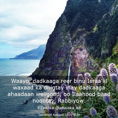 Picture 03 - Taariikhdii Kowaad 17:22 SOM - Waayo, dadkaaga reer binu Israa'iil waxaad ka - Bible Verse Picture