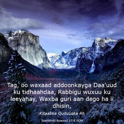Picture 03 - Taariikhdii Kowaad 17:4 SOM - Tag, oo waxaad addoonkayga Daa'uud ku tidhaahdaa, - Bible Verse Picture
