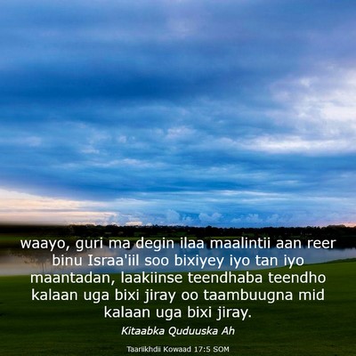 Picture 03 - Taariikhdii Kowaad 17:5 SOM - waayo, guri ma degin ilaa maalintii aan reer binu - Bible Verse Picture