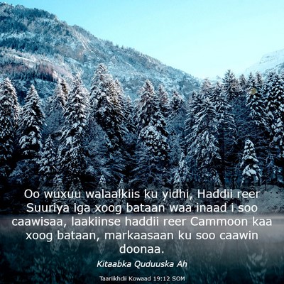 Picture 03 - Taariikhdii Kowaad 19:12 SOM - Oo wuxuu walaalkiis ku yidhi, Haddii reer Suuriya - Bible Verse Picture