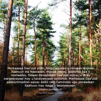 Picture 03 - Taariikhdii Kowaad 19:2 SOM - Markaasaa Daa'uud yidhi, Anigu waxaan u roonaan - Bible Verse Picture