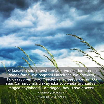Picture 03 - Taariikhdii Kowaad 19:7 SOM - Sidaasay u soo kiraysteen laba iyo soddon kun oo - Bible Verse Picture