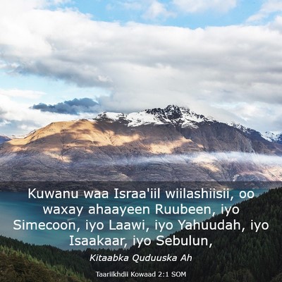 Picture 03 - Taariikhdii Kowaad 2:1 SOM - Kuwanu waa Israa'iil wiilashiisii, oo waxay - Bible Verse Picture