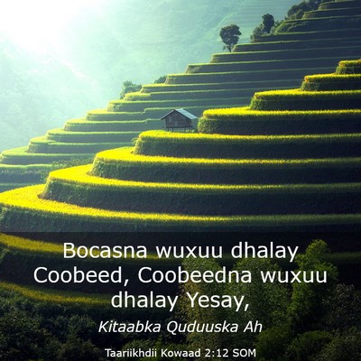 Picture 03 - Taariikhdii Kowaad 2:12 SOM - Bocasna wuxuu dhalay Coobeed, Coobeedna wuxuu - Bible Verse Picture